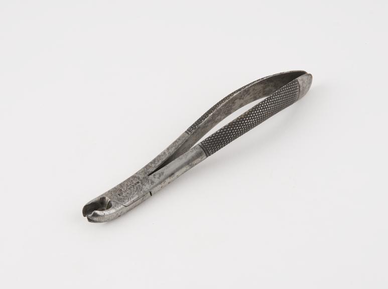 Dental forceps for upper right molars, steel, by Young