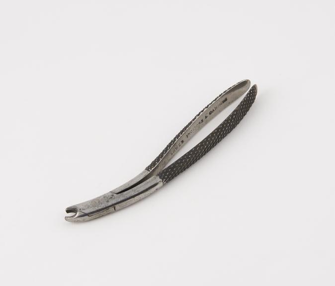 Dental forceps, for lower incisors and canines, steel