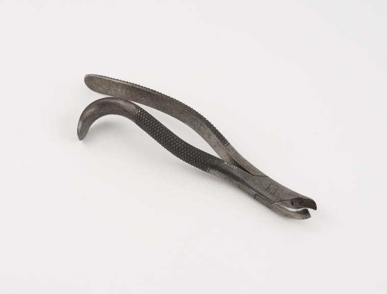 Dental forceps, left handed for right upper molars, steel