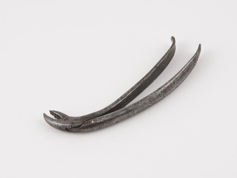 Dental forceps, hawk's bill, steel, Yugoslavia, 1801-1870