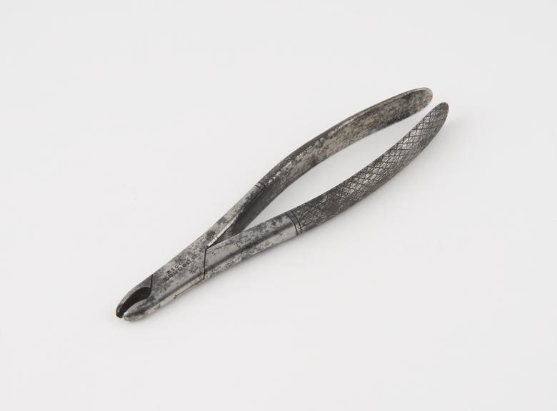 Upper bicuspid dental forceps, by Bigg, London, mid 19th century