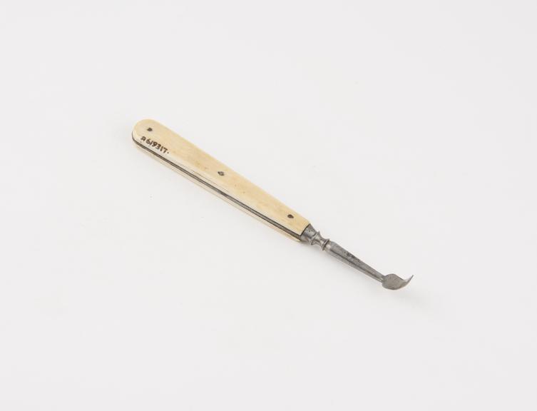 Dental scaler, steel with revitted ivory handle, English