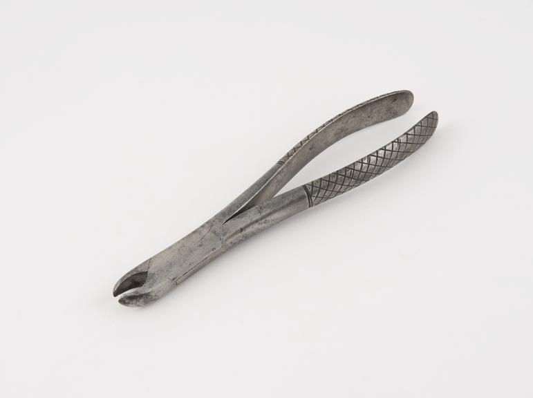 Dental forceps, for upper bicuspids and molars, steel, English