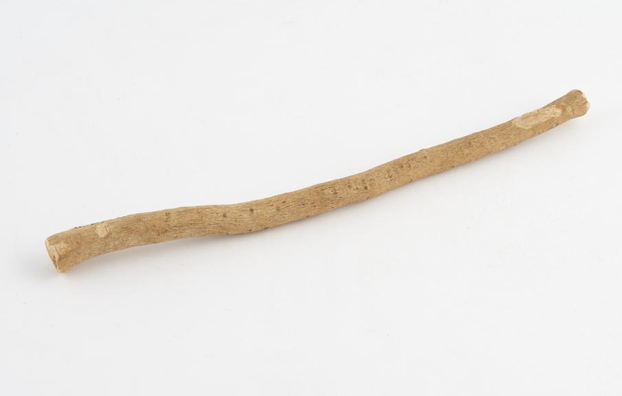 Toothbrush, stick, 1890-1930