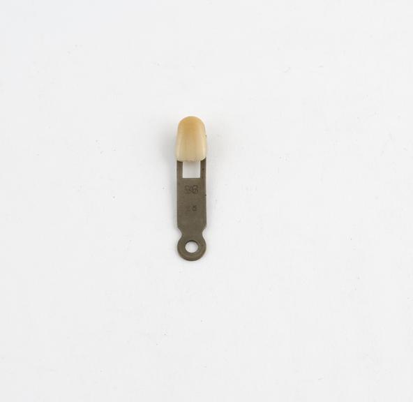 Single mounted tooth from shade guide for porcelain teeth