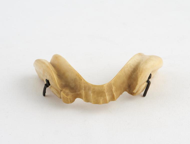 Partial lower denture, ivory, English, 1801-1870