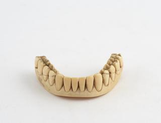 Full lower denture, ivory, English, 1801-1860