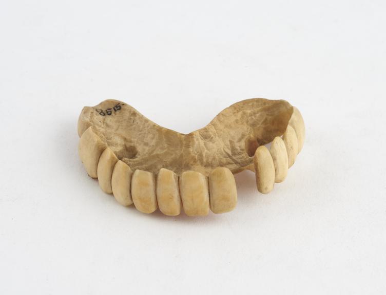 Partial upper denture, ivory, English, 1820-1870