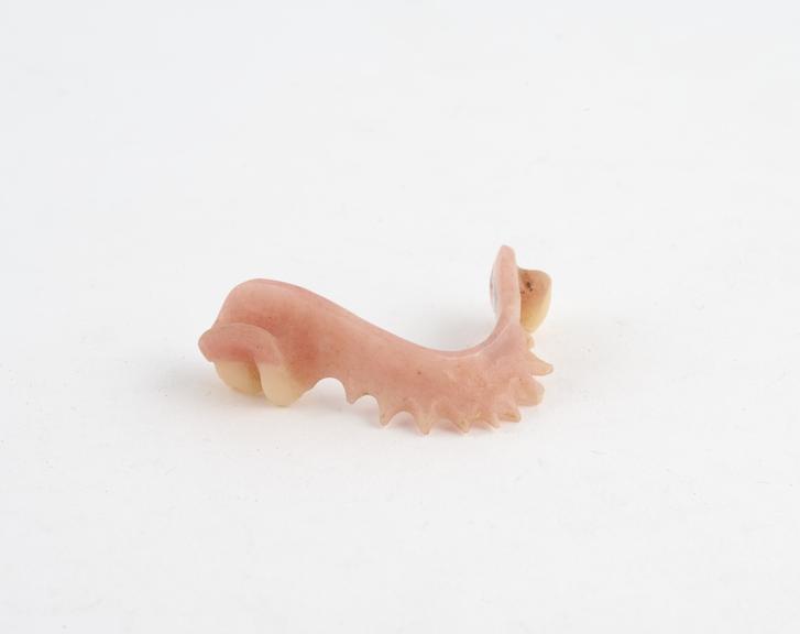 Partial lower denture, acrylic, English, 1955-1975