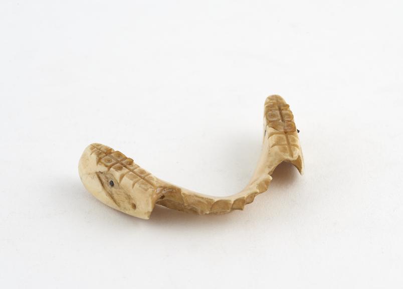 Partial lower denture, ivory, English, 1801-1860