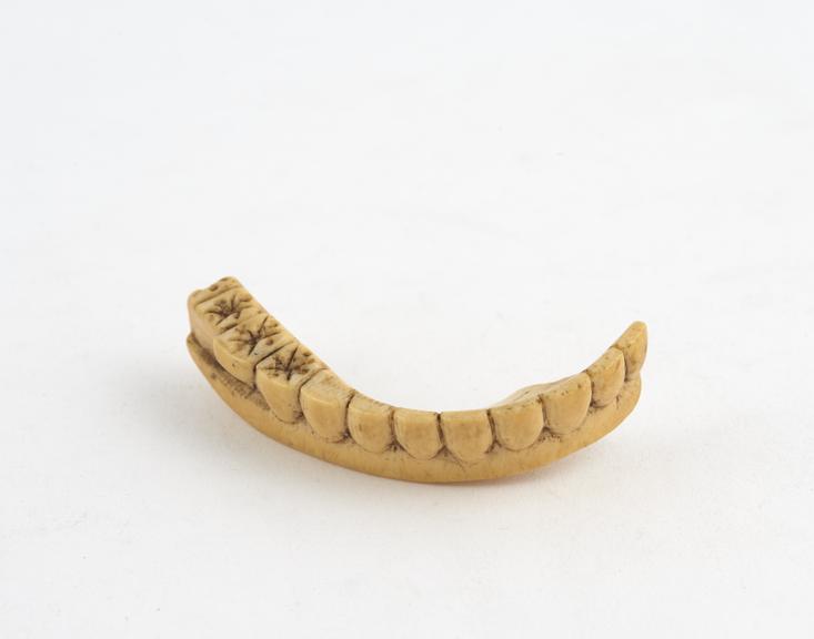 Full upper denture, half missing, ivory, English, 1801-1860