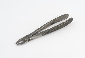 Upper lateral incisor and bicuspid dental forceps
