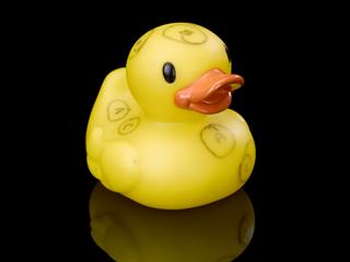 Toy duck used in preparation for the Rosetta probe mission, 2014