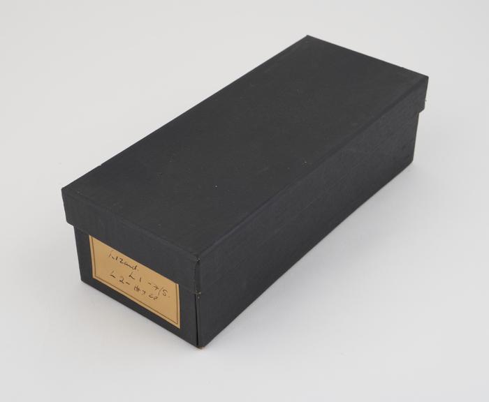 Black slide box, labelled Lizard L1, formol saline