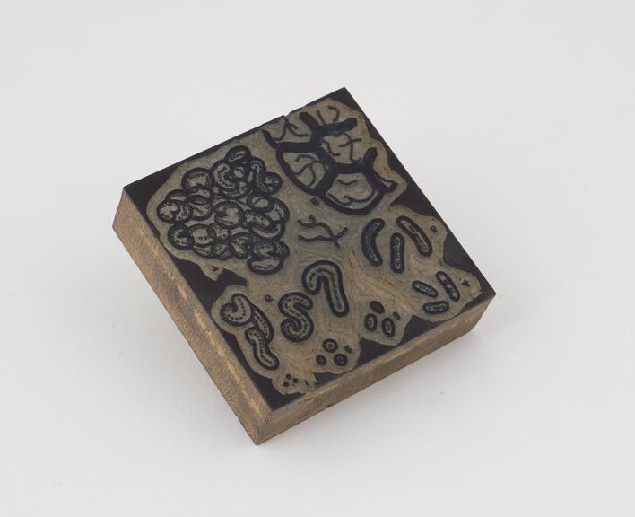 Wooden printing block, depicting various micro-organisms