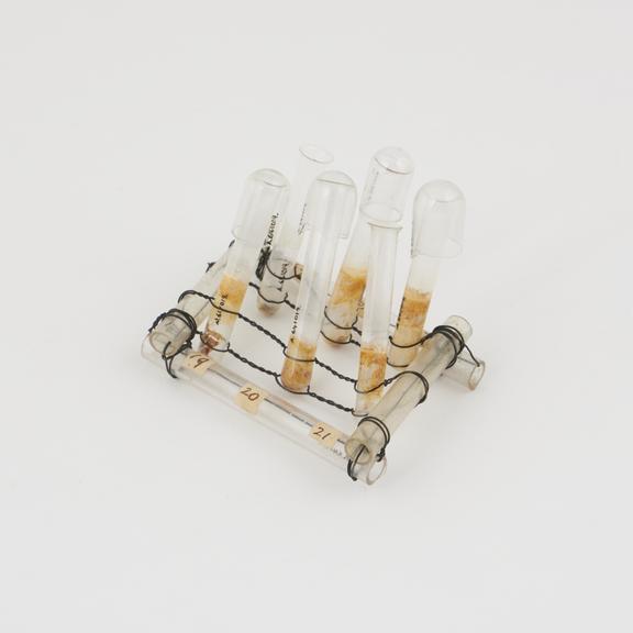 Test tubes, 6, 4 of which have glass caps