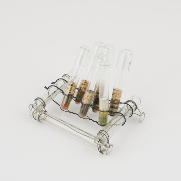 Test-tubes, 6,5 of which have glass caps