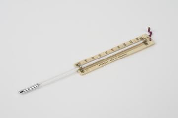 Mercury in glass Fahrenheit thermometer