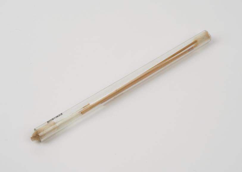 Glass tube containing three hollow wooden rods