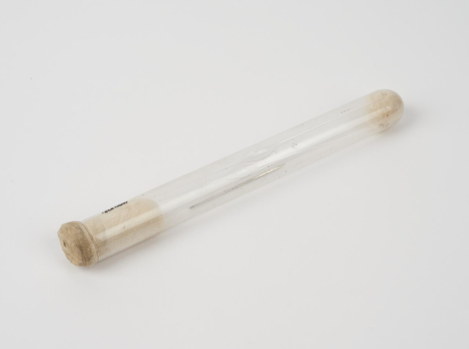 Clear glass test tube containing needle with triangular point and two ...