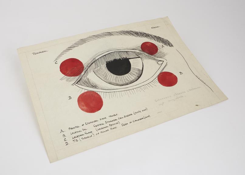 Large pen and ink drawing of eye, English, 1891-1930