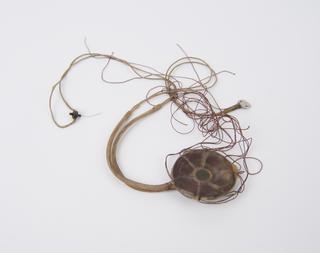 Unused rabbit coil from green cardboard box