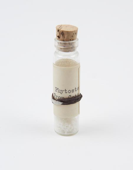 SMG00279575