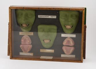 Dental education panel