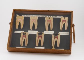 Dental education panel
