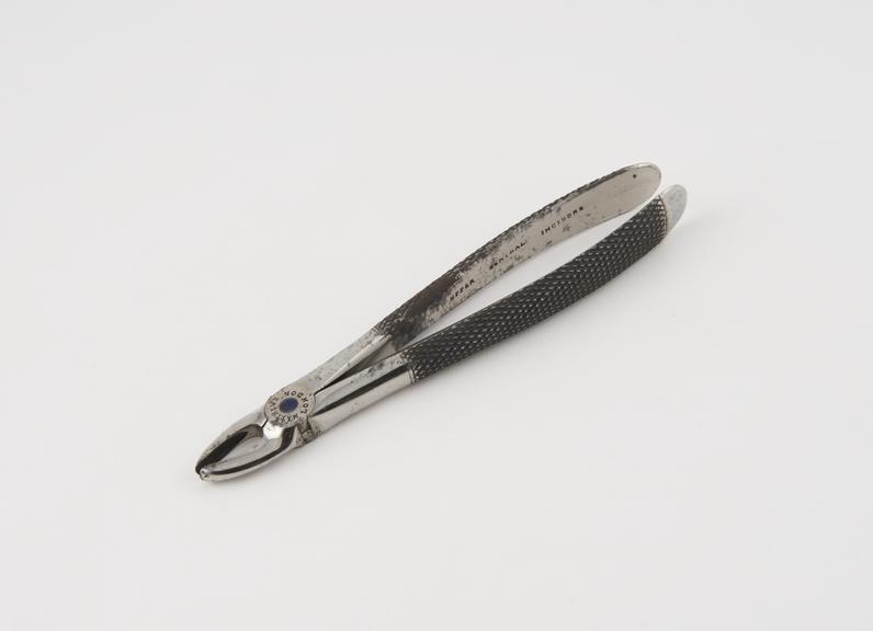 Dental forceps for upper central incisors, steel, by Matthews