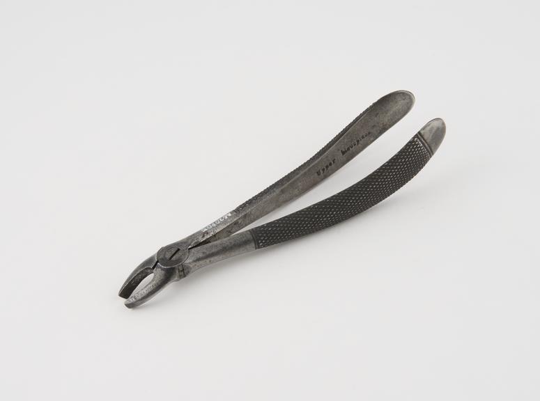 Dental forceps, for upper bicuspids, steel, by J. Gray and Co