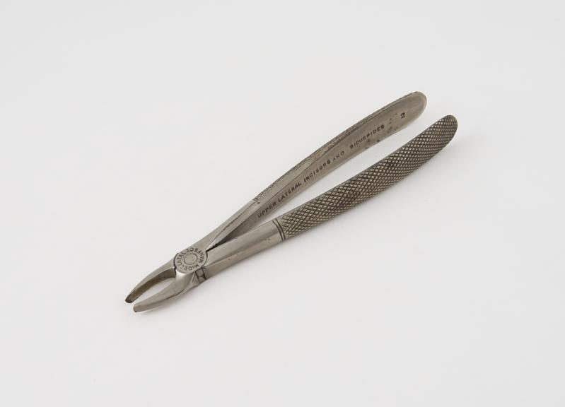 Dental forceps, no.2, for upper incisors and bicuspids