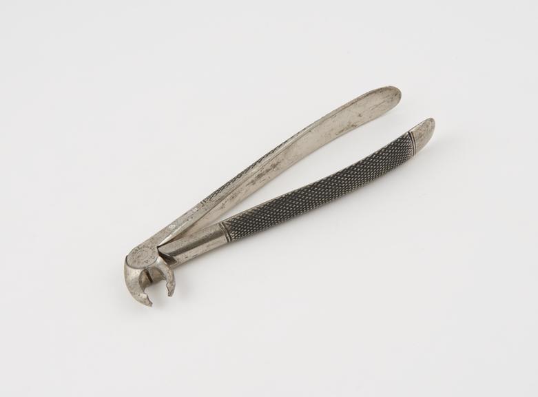 Dental forceps, hawk's bill, for lower molars