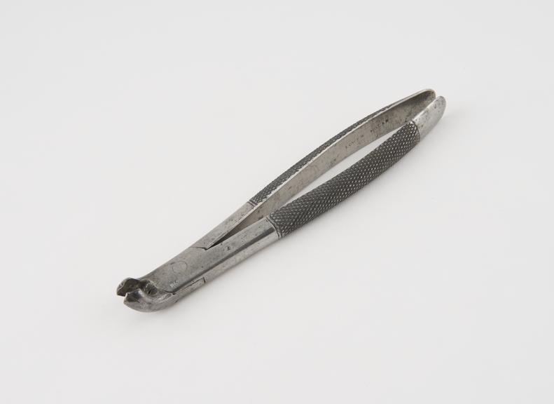Dental forceps, for lower molars, steel, by Plum, Bristol