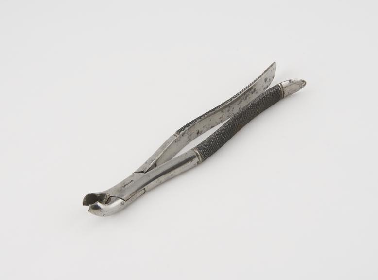 Dental forceps, Clendon's, for lower molars, steel, London