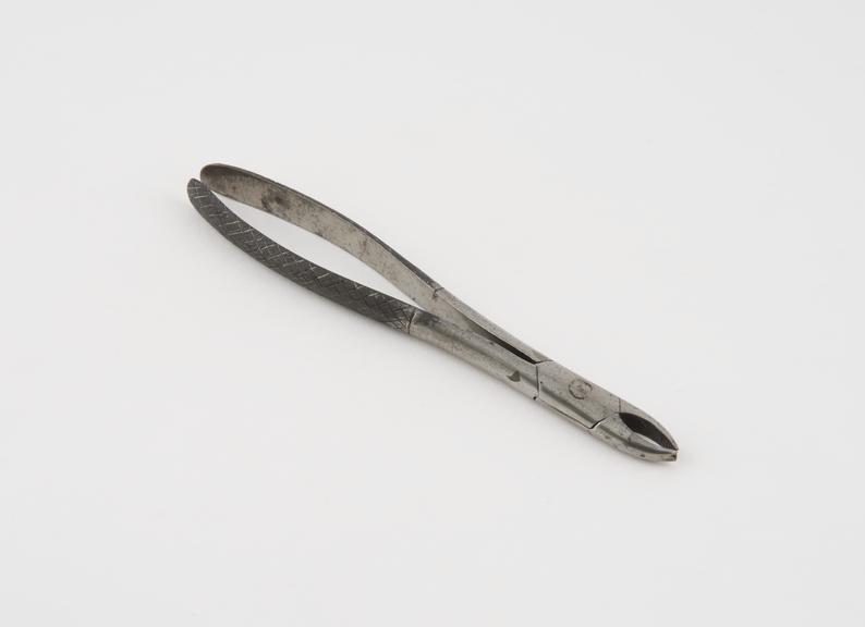 Dental forceps for upper anteriors, steel, English, 1810-1860