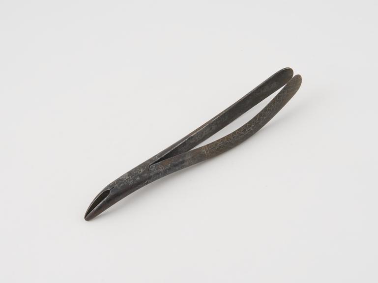 Dental forceps, for upper roots, steel, by Ferguson, London