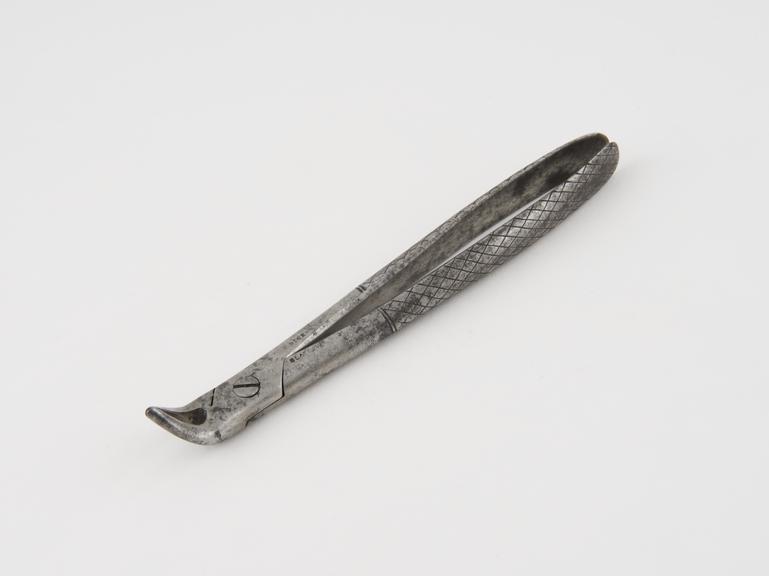 Dental forceps, for lower roots, steel, by J