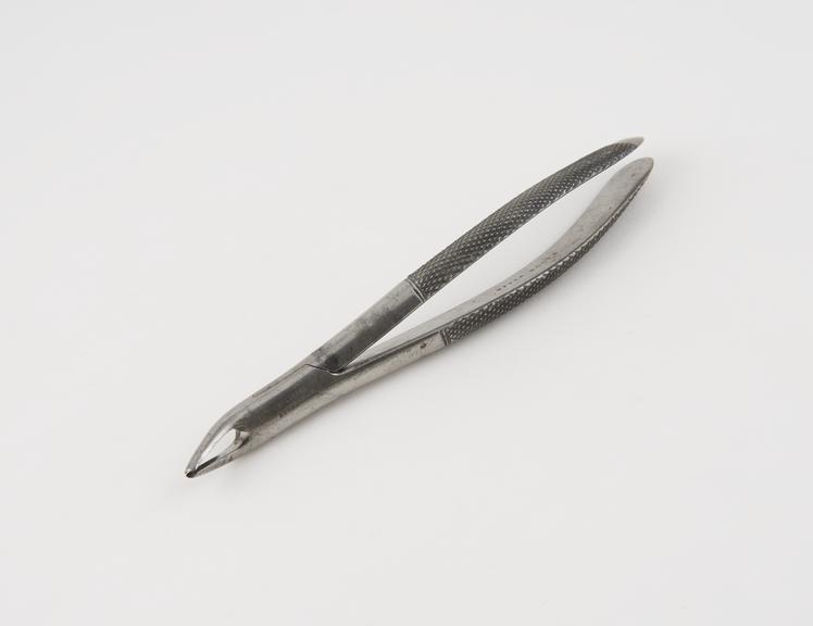 Dental forceps, for upper roots, steel, by Hilliard, Edinburgh