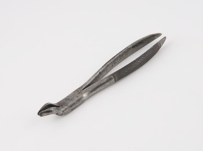 Dental forceps, American bayonet pattern for wisdom teeth