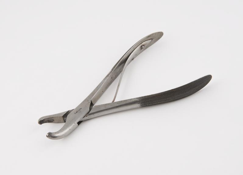 Rougeur dental forceps, steel, by Collin, Paris, 1845-1890