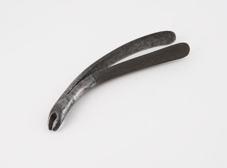 Dental forceps, for bicuspids, by Lemale(?), England(?)