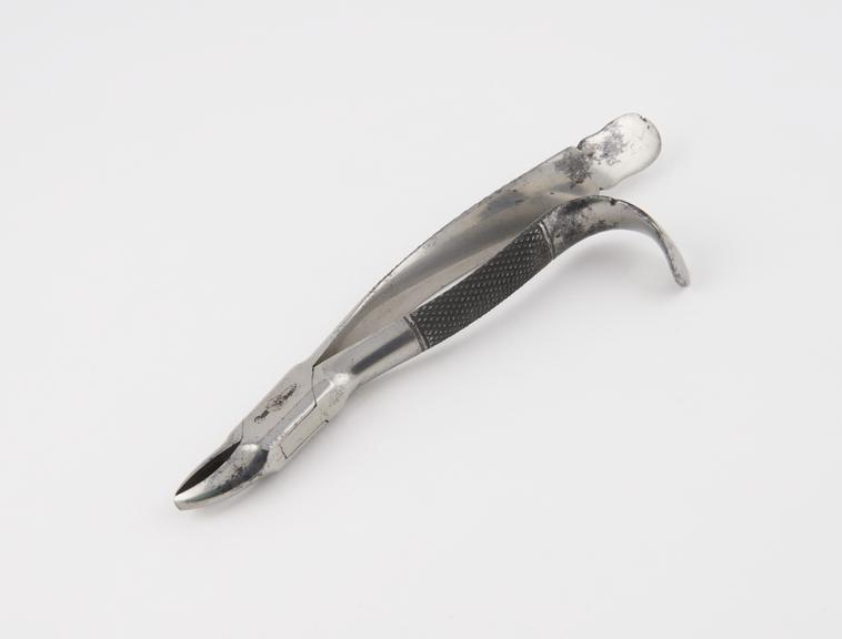 Dental forceps, American pattern, for upper bicuspids, steel