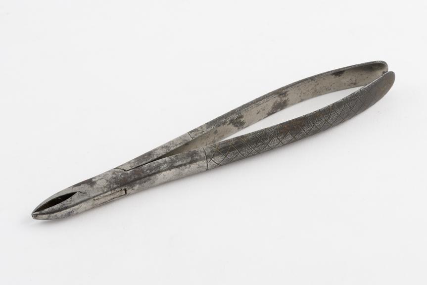 Dental forceps for upper anteriors, steel, by Weedon, London