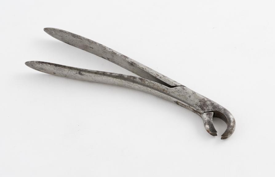 Dental forceps