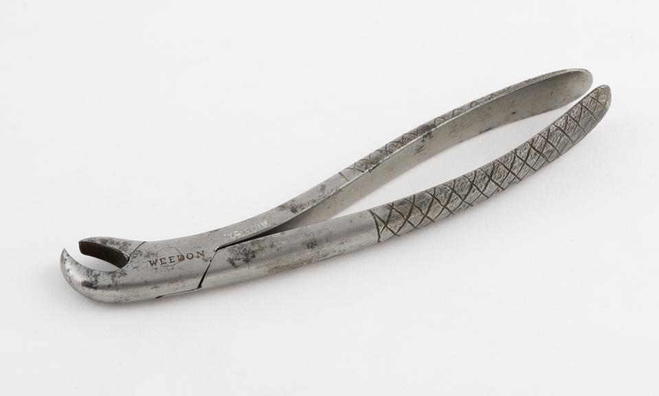 Dental forceps