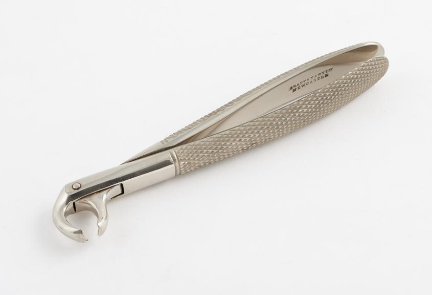 Dental forceps, hawk's bill, for lower molars