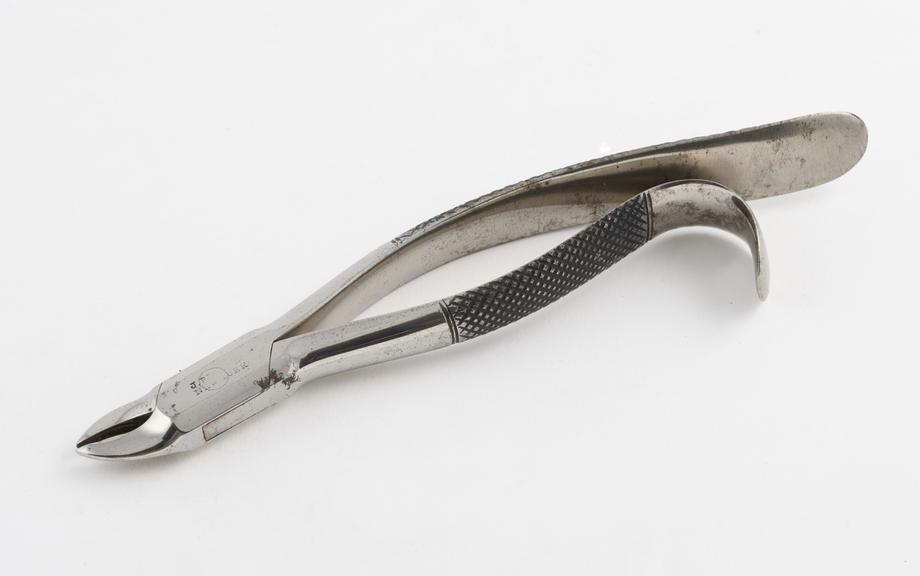 Dental forceps, American pattern for upper roots, steel, by J