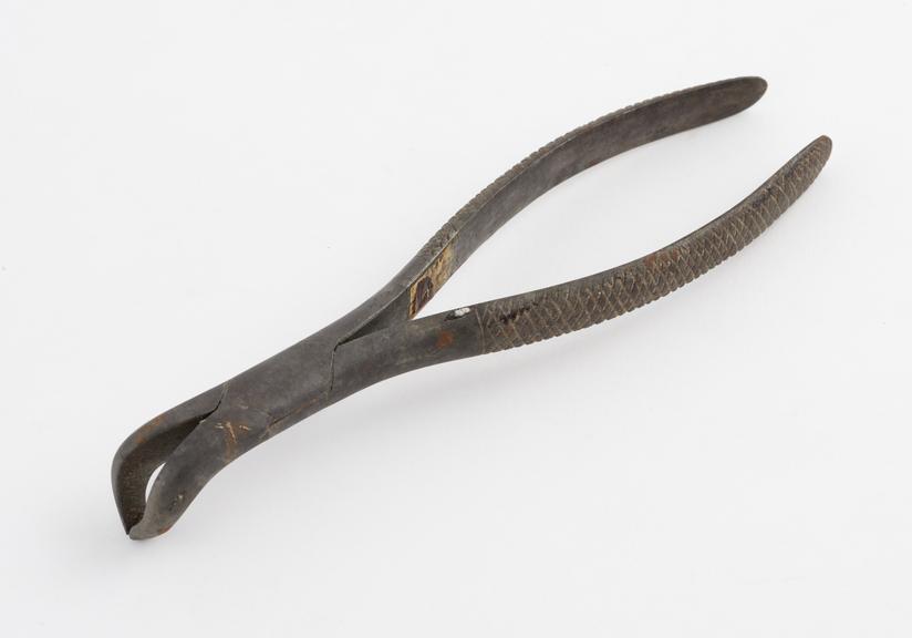 Dental forceps, for lower teeth, steel, by Savigny, London