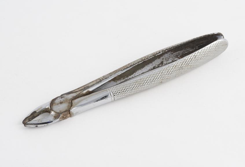 Dental forceps, pattern 1, for upper incisors and canines